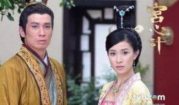 宫心计电视剧全集剧情,宫廷权谋与爱恨情仇的纠葛
