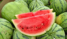 今日吃瓜911爆料官网入口,独家入口带你直击热点事件